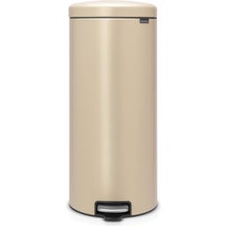 Newicon 30 L Pedal Bin with a Plastic Liner