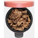 Newicon 12 L Pedal Bin with Plastic Liner