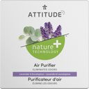 Lavender & Eucalyptus Natural Air Purifier - 227 g