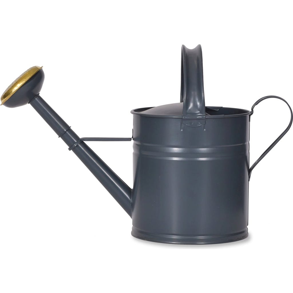 Arrosoir En Acier Galvanisé 6.5L Bleu - Bec Amovible, Anti-Rouille - Pour Jardin Et Plantes D'Intérieur