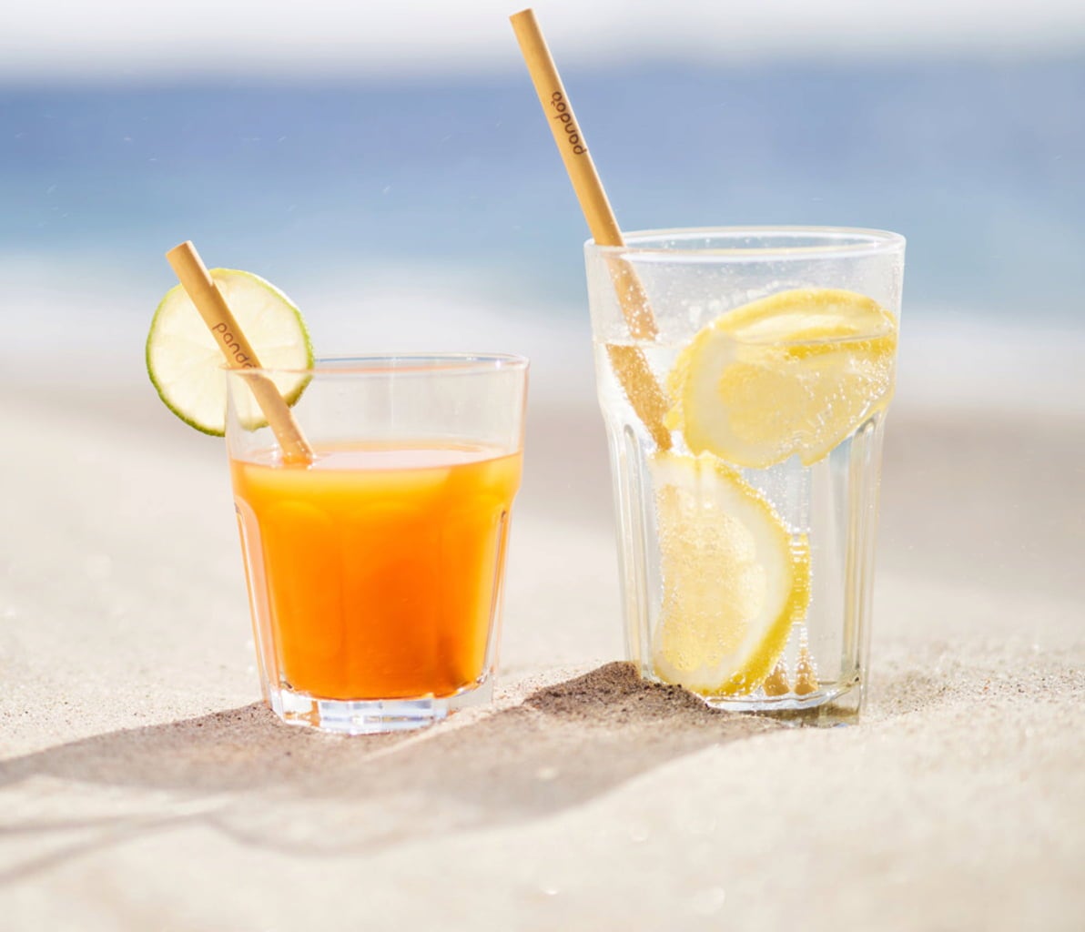 pandoo Reusable Bamboo Straws for Cocktails - 12 Pieces