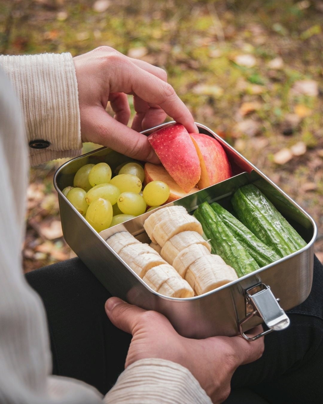 pandoo Lunchbox in Acciaio Inox - 800 ml