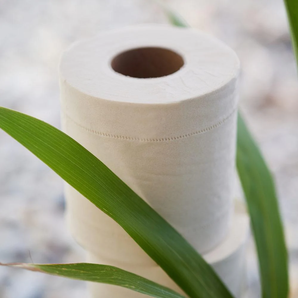 pandoo Toilettenpapier aus Bambus - 1 Pkg