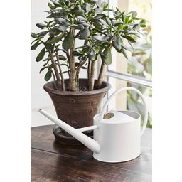 Burgon & Ball Sophie Conran - Indoor Watering Can - White