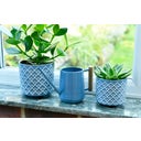 Regadera Pequeña para Plantas de Interior - Heritage Blue