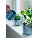 Burgon & Ball Small Watering Can for Indoor Plants - Heritage Blue