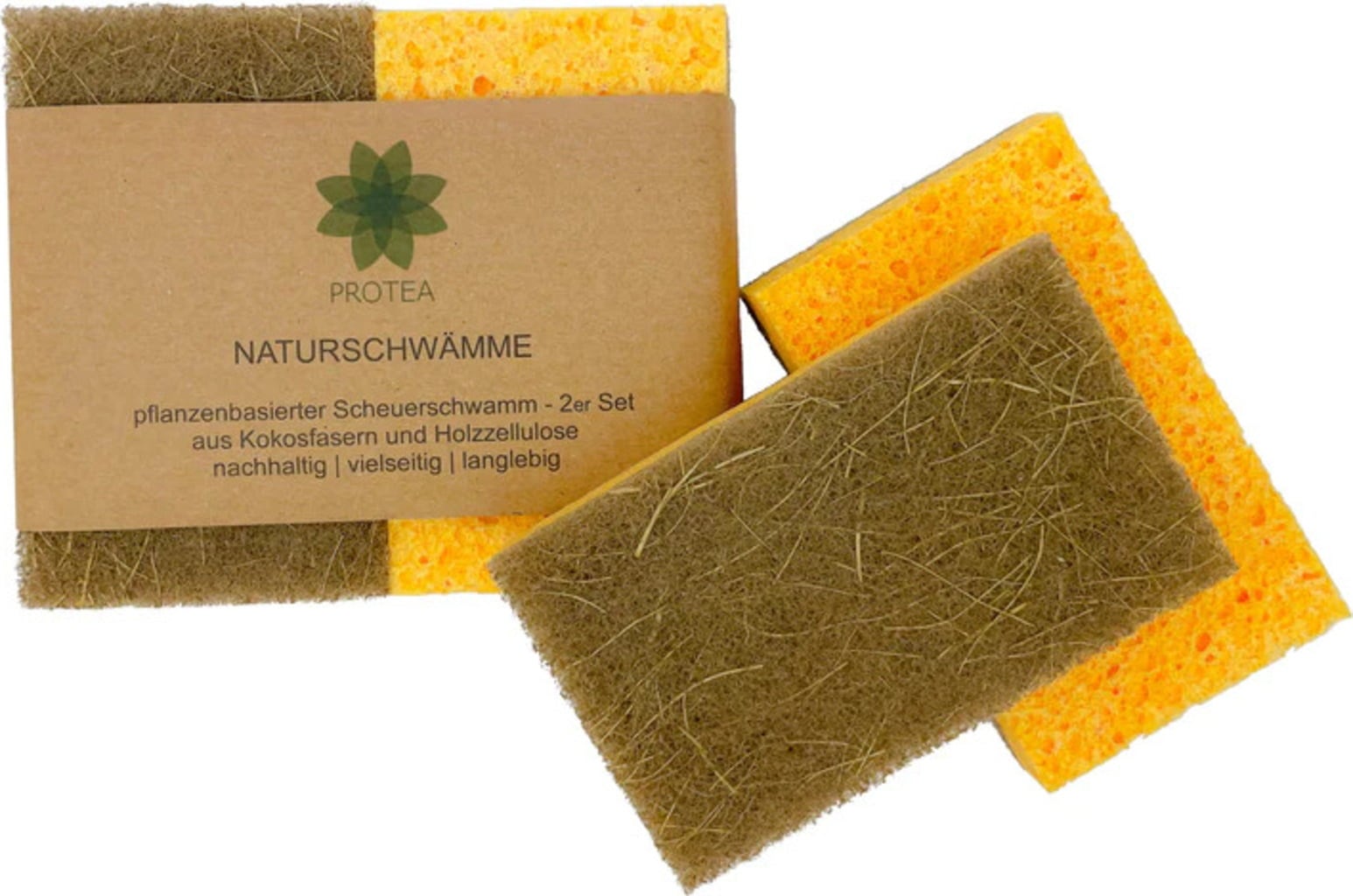 Dish Sponge , 2 Piece