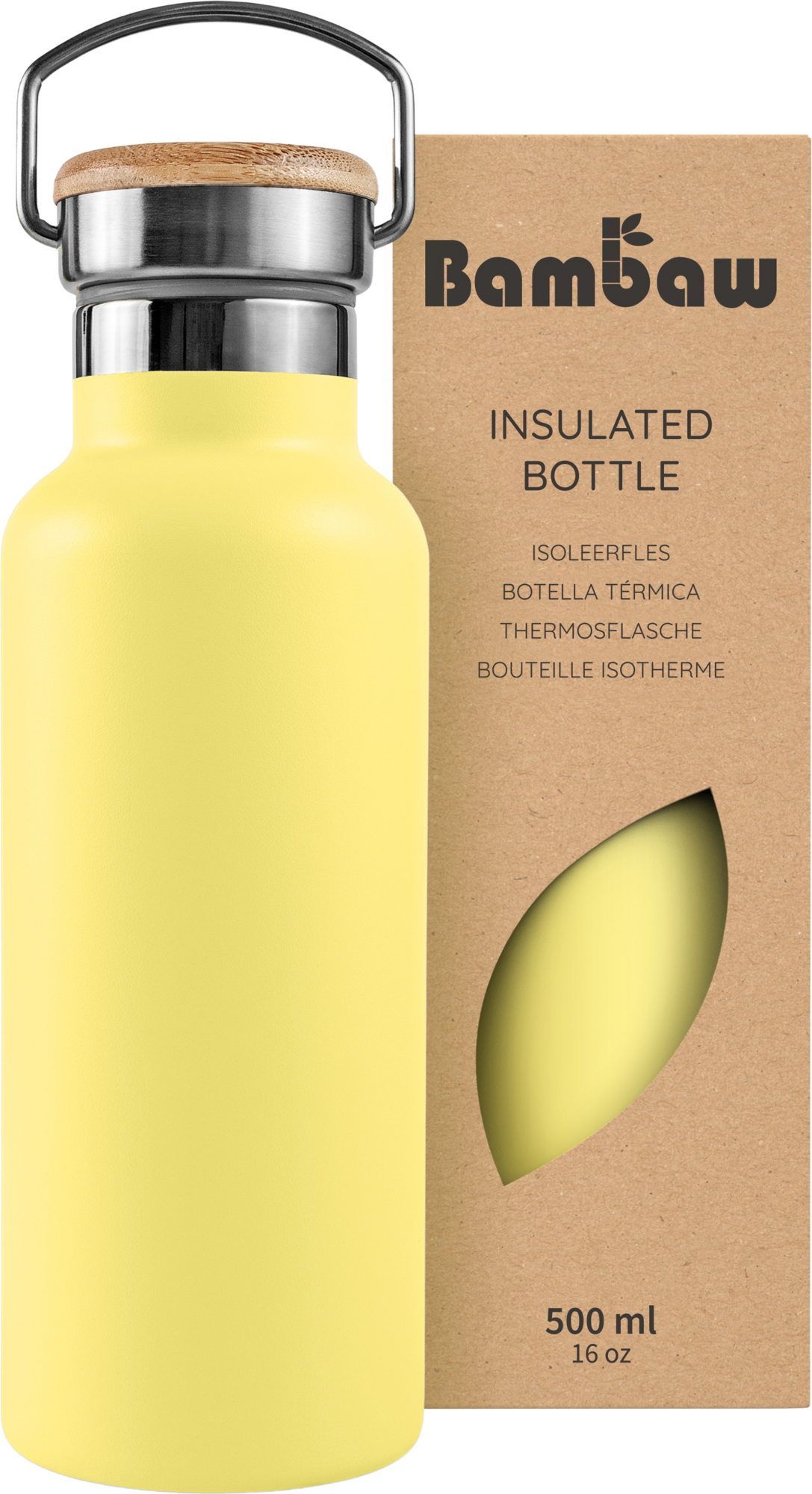 Insulated Stainless Steel Bottle, 500 ml 