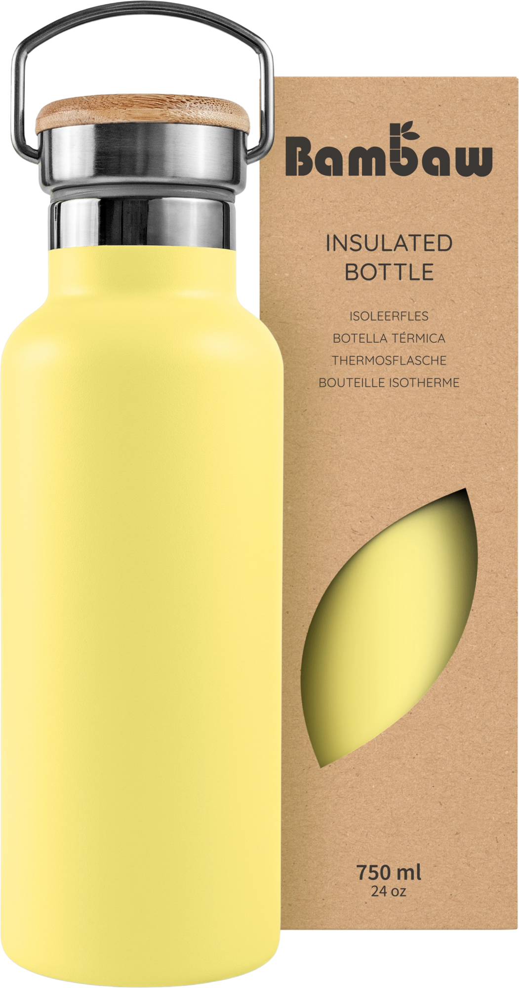 Insulated Stainless Steel Bottle, 750 ml 