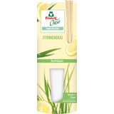 Oase Room Freshener Refill Pack 