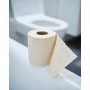 pandoo Bamboo Toilet Paper  - 1 Pkg