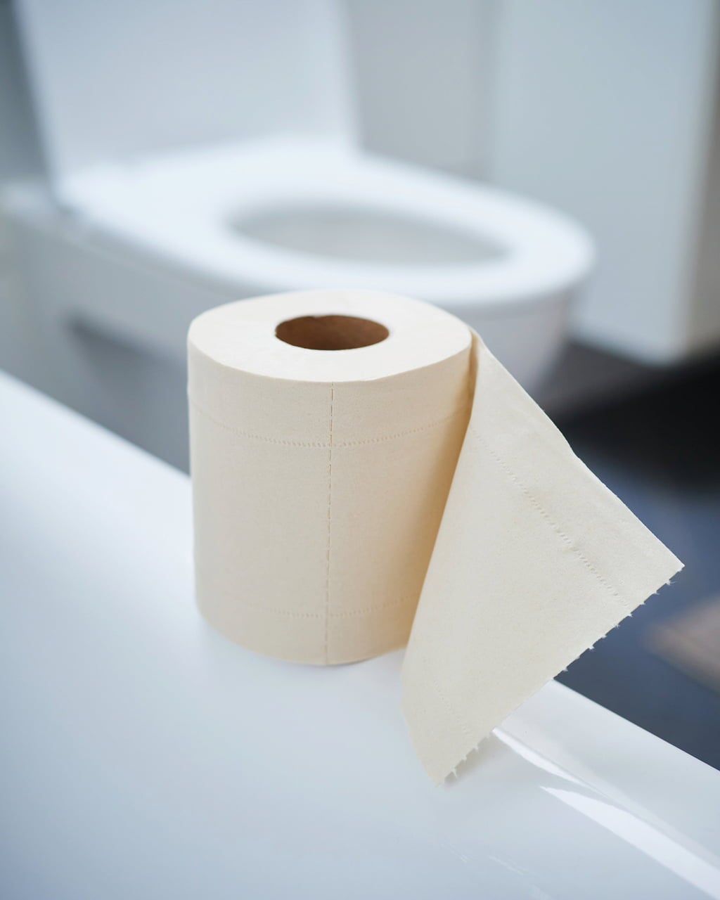 pandoo Toilettenpapier aus Bambus - 1 Pkg