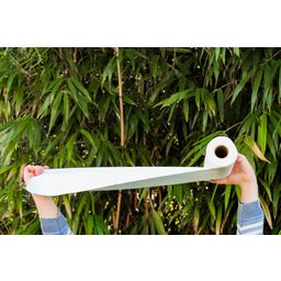 pandoo Roll of Paper Towels 