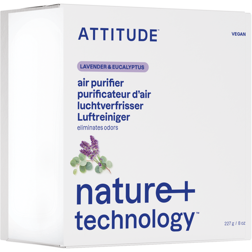 Lavender & Eucalyptus Natural Air Purifier - 227 g