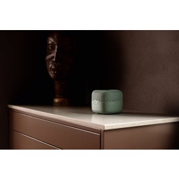 Absodry Luchtontvochtiger Duo Family Serie 3 - Groen