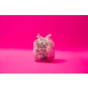 WILDPLASTIC Wildbag Müllbeutel 10 L - 25 Beutel