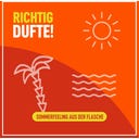 Poliboy Möbel Booster - 375 ml