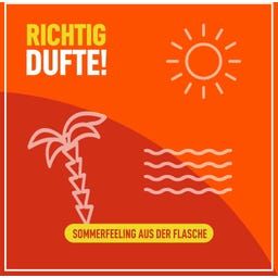 Poliboy Möbel Booster - 375 ml