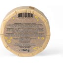 bluu fred cleantstone Cleaning Stone