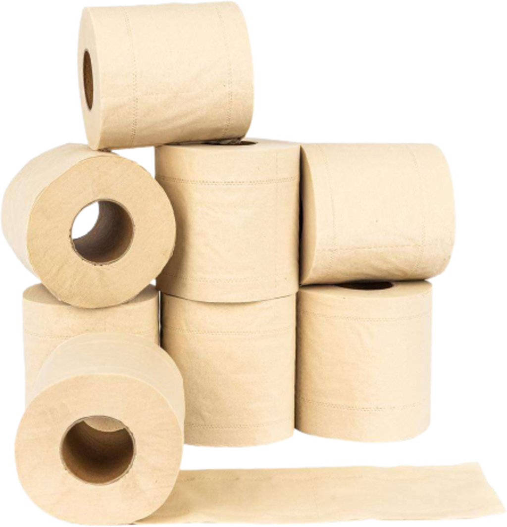 pandoo Bamboo Toilet Paper, 1 Pkg - Ecosplendo Online Shop